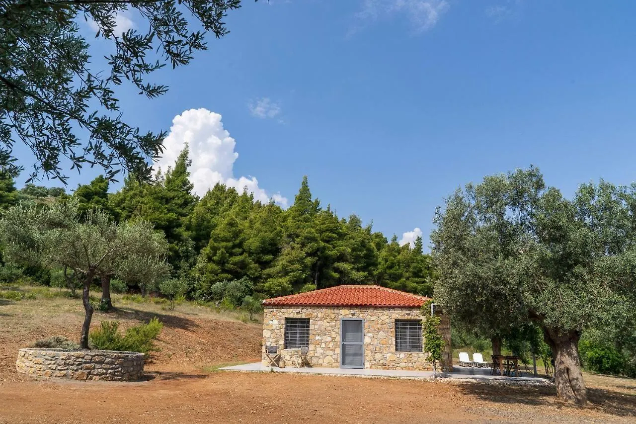 The Ideal Secluded Retreat Agios Nikolaos  Agios Nikolaos (Chalkidiki)
