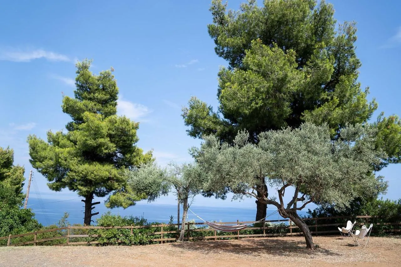 The Ideal Secluded Retreat Agios Nikolaos  Agios Nikolaos (Chalkidiki)